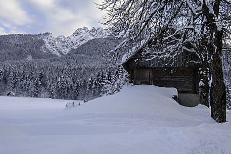 Snowy landscape 